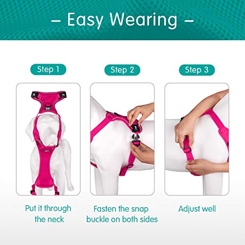 Mesh Dog Harness (L / Fuchsia)