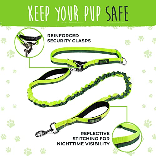 Hands Free Dog Leash (48" / Green)