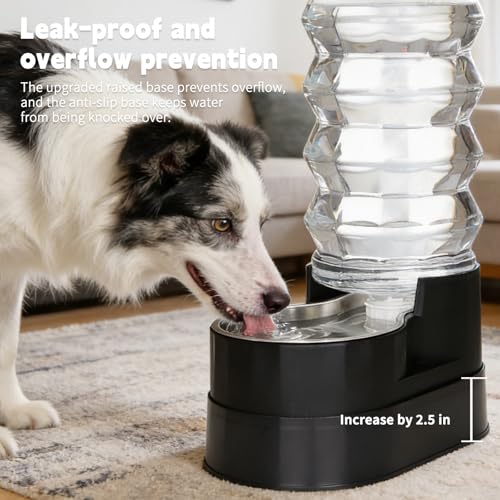 9L Elevated Dog Waterer (9L / Classic Black)