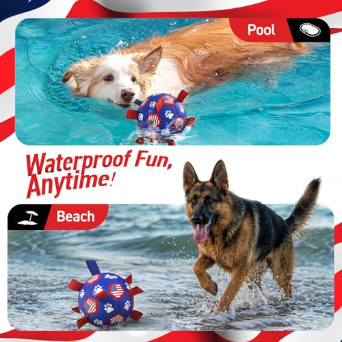 Dog Balls with Straps (Flag / 9 Inch)