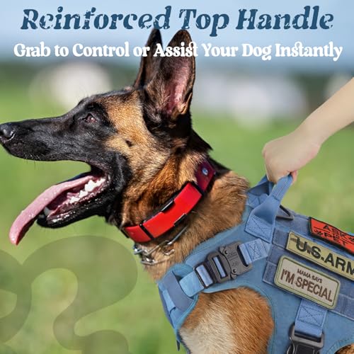 Tactical Dog Harness for Small (Blue / Small)