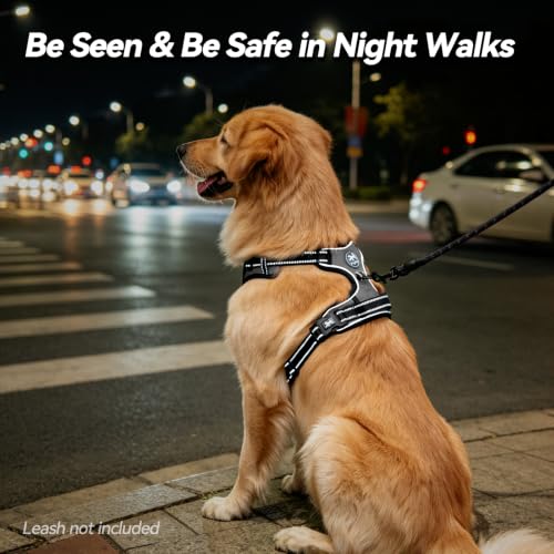 No Pull Dog Harness Small with Front Clip & Neck Release Buckle (XS / Grey)