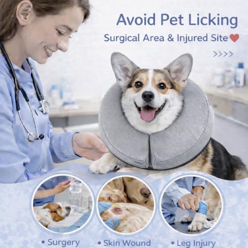Inflatable Dog Cone Collar Alternative (Grey / XS [5"-8"])