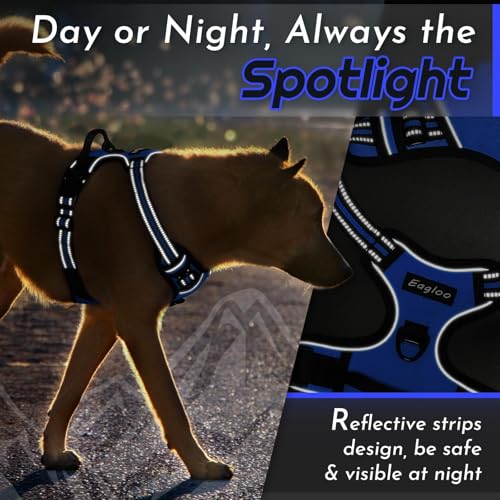 Dog Harness for Small Dogs (Small / Blue)
