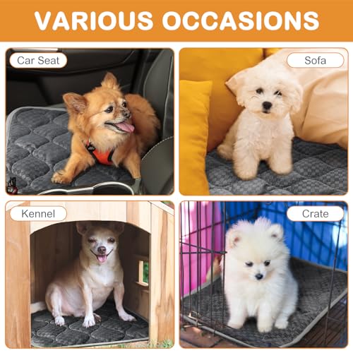 4 Pack Self Warming Cat Mat Self Heating Cat Pad Warm Thermal Pet Bed Washable Dog Crate Pad Body Heat Dog Bed Mat Blanket Non Slip Bottom for Outdoor Indoor Pets (16 x 20 Inch / Grey)