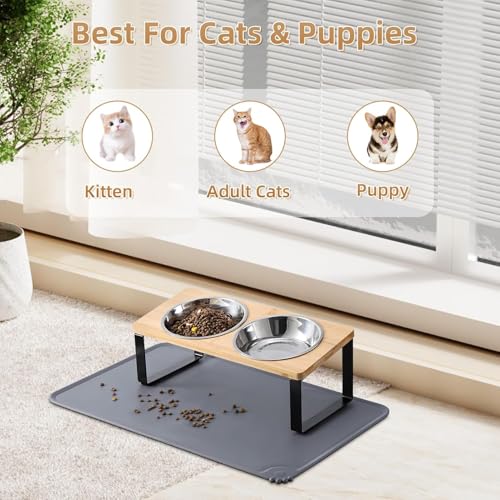 2 Pack Elevated Cat Bowls with Food Mat