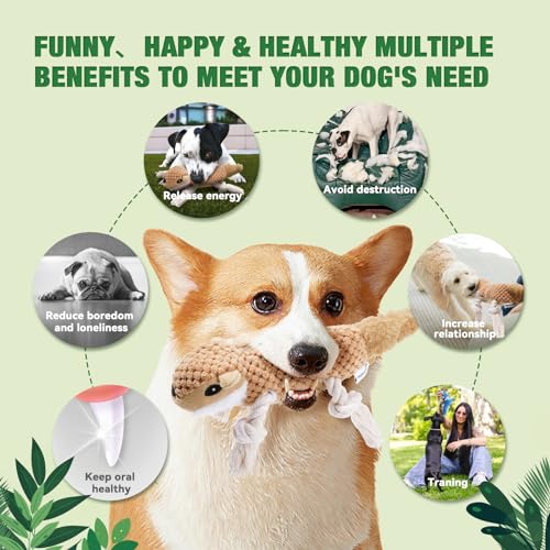 Dog Squeaky Toys for Puppy (5 Pack)