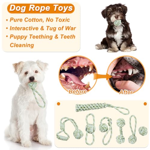 24 Pack Puppy Chew Toys (24pack)
