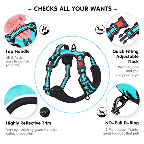 Dog Harness Large (L / Mint Blue)