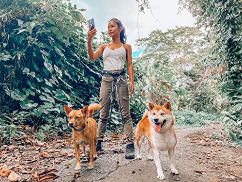 Heavy Duty Hands Free Dog Leash - PetSolution