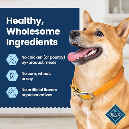 Chicken & Spearmint Large Dental Chews (22 Ounce (Pack of 1))