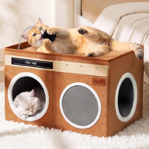 Retro Radio Cat House
