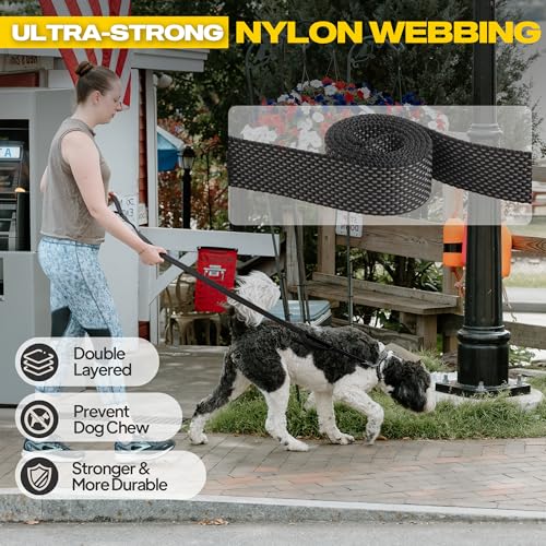 10 FT Heavy Duty Dog Leash (10 Feet (Pack of 1) / Black)