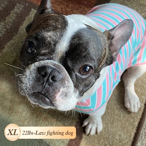 2Pack Cotton Dog Shirt for Small Medium Dogs Soft Striped Tank Top (X-Large (18-30lbs) / 05# 2Pack (Green+Striped))