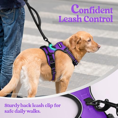 Dog Harness No Pull for Large Dogs with 2 Leash Clips (X-Large / Purple)