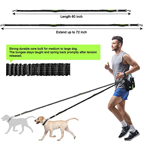 Retractable Hands Free Dog Leash with Dual Bungees for 2 Dogs (Green/Black)