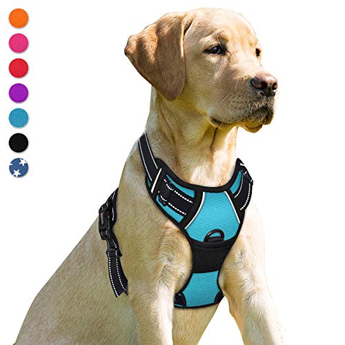 Dog Harness No Pull for Medium Sized Dog Front Back Clips (Medium(Chest:22.5-28") / Blue)