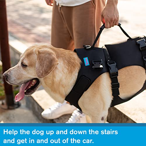 Dog Lift Harness (S / Black)