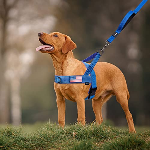 No Pull Dog Harness with Soft Padded Handle (S / Blue)