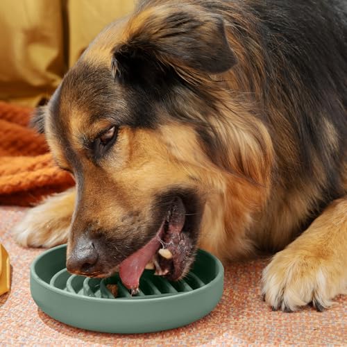 Slow Feeder Dog Bowl (Spruce - Rainbow Design / Medium (7.5” Across x 1.5” Tall))