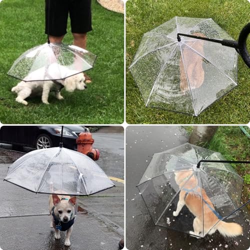 Dog Umbrella for Small Breeds (C Handle (Chain))