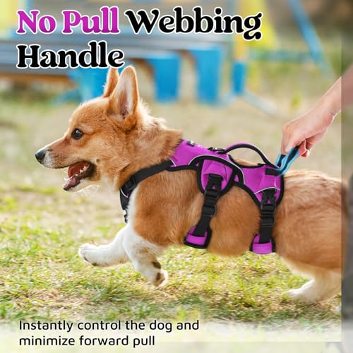 Escape Proof Dog Harness for Small (Purple / Small)