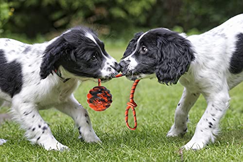 2Pcs Dog Training Ball on Rope (2pcs)