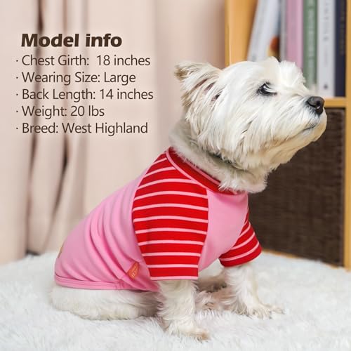 2Pack Dog Sweater with Sleeves Fleece Shirt for Small Dogs (Medium (8.5-13lbs) / 10# Pink)