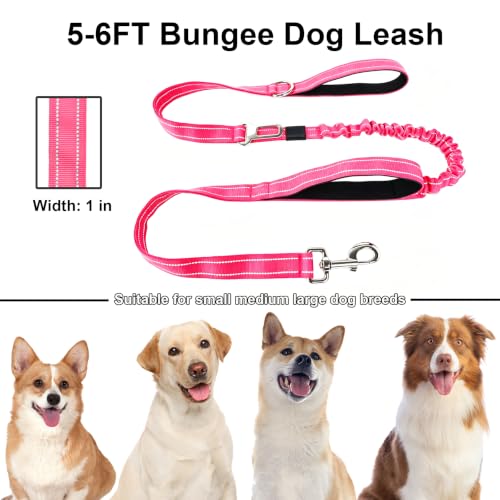 Bungee Dog Leash 5FT (Hot Pink / 5FT-6FT)