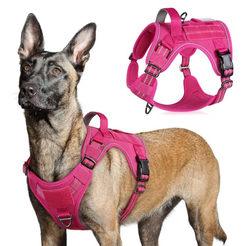 Tactical Dog Harness for Large (Rose Red / Large)