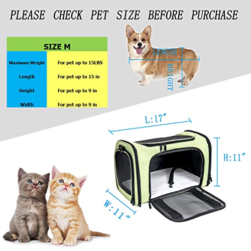Soft Sided Carrier for Small Medium Cats Dogs (17.0"L x 11.0"W x 11.0"H / Green)