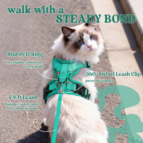 Cat Harness and Leash Set (Xxs / Cherry Grove)