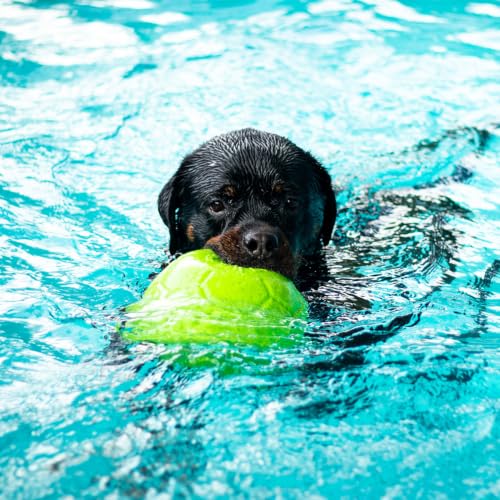 Large Jolly Soccer Ball Floating (8 Inch Diameter / Apple Green)