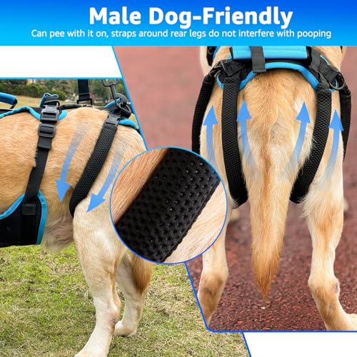 Dog Lift Harness for Extra Large Dogs (XX-Large / Black)