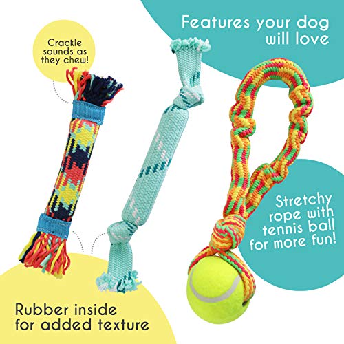 Puppy Rope & Tug of War Toys for Teething