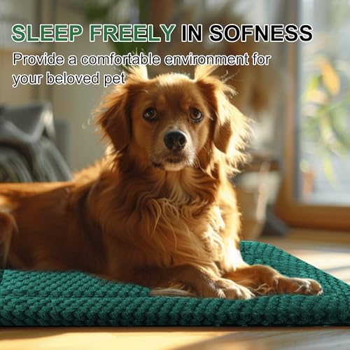 Dog Bed Crate Mat (S(24"*18"*1.5") / Dark Green-1pc)