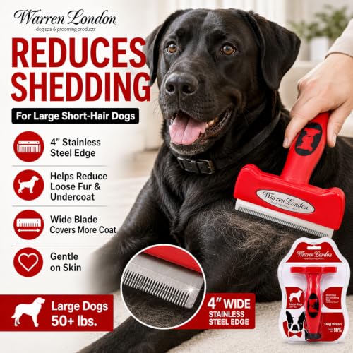 Deshedding Brush for Large Short Hair Dogs (Short Hair | Large)