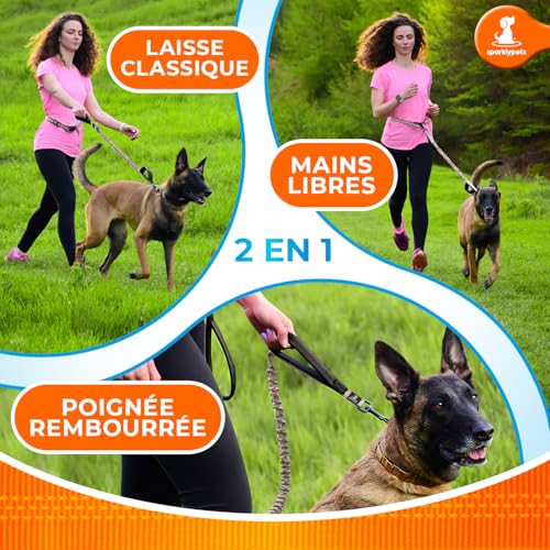 Hands Free Dog Leash (Brown / 1 dog M/L)