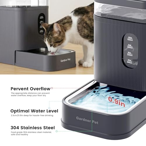 1.7 Gallon Automatic Dog Water Dispenser with Stainless Steel Bowl (Grey / 1.7 Gallon)