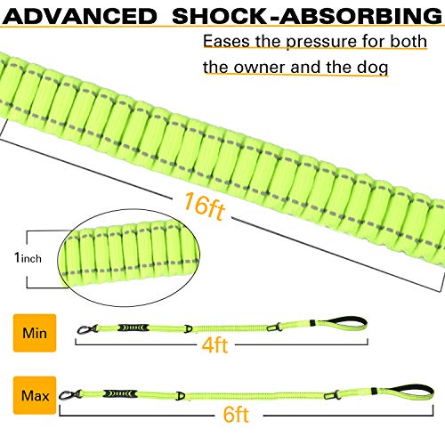 Heavy Duty Bungee Dog Leash with Locking Carabiner for Large Dogs (Fluorescent Green)