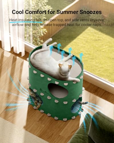 Cat House for Indoor Cats (Forest / Double)