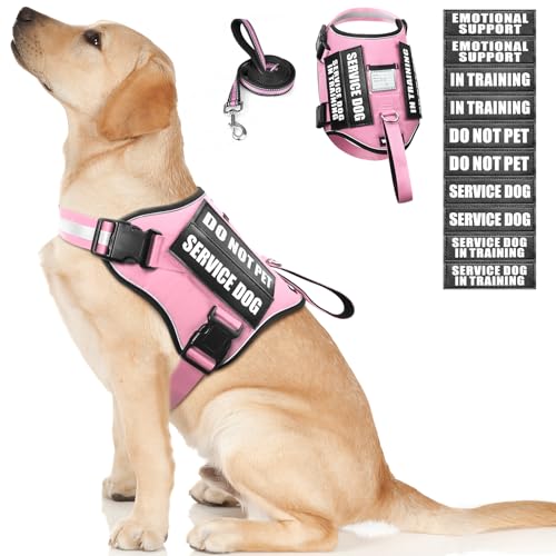 Service Dog Harness and Leash Set (Large / Pink)