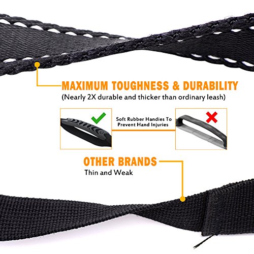 Heavy Duty Bungee Dog Leash with Locking Carabiner for Large Dogs (Black)