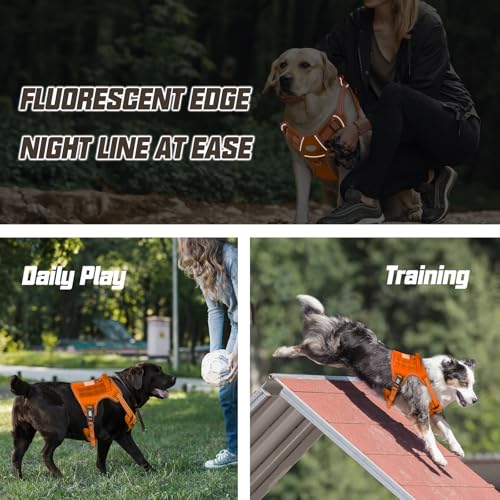 Dog Harness for Large Dogs (Orange / L(Neck:18-29",Chest:24-37"),45-80 lbs)