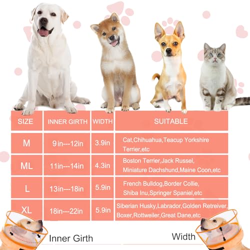 Inflatable Dog Cone Collar for Large Medium Small Dogs (Orange / X-Large)