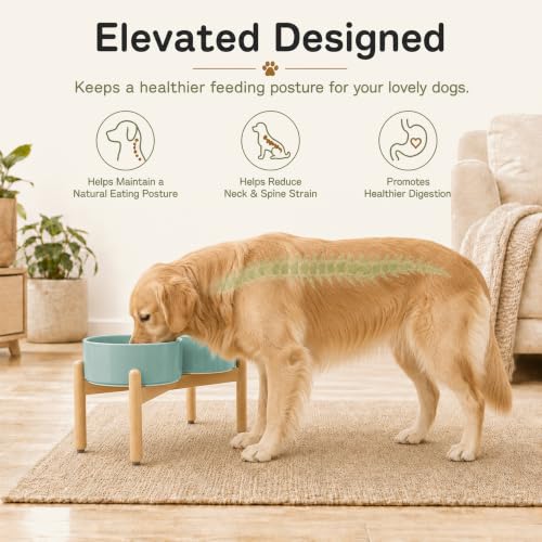Ceramic Dog Bowls Elevated (Light Green)