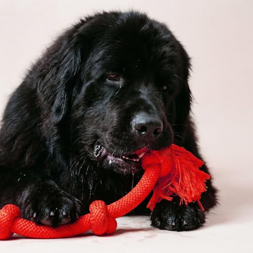 Tug Rope Dog Toys for Large Breed Dogs (Mega / Beef)