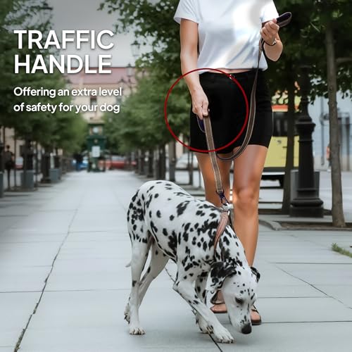 5FT 1IN Heavy Duty Dog Leash for Large Dogs with 2 Padded Handles (Brown / 1 in x 5 ft)