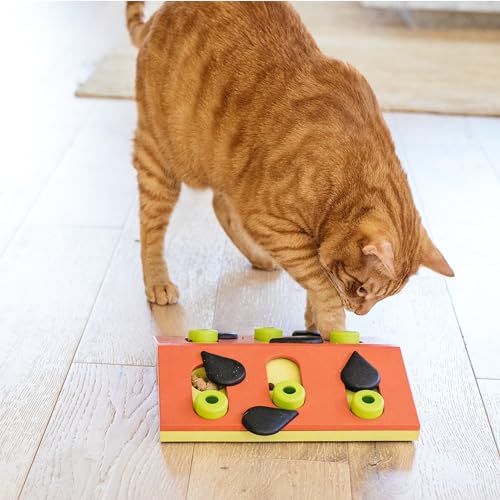 Nina Ottosson Melon Madness Puzzle & Play Cat Toy (Melon Madness / Treat Puzzle)