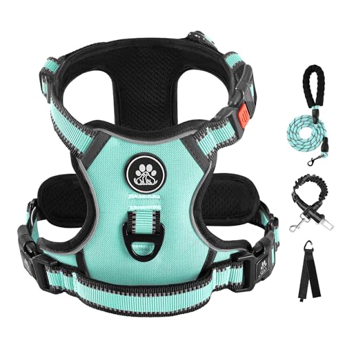 No Pull Dog Harness for Large Dogs (Turquoise / Large)
